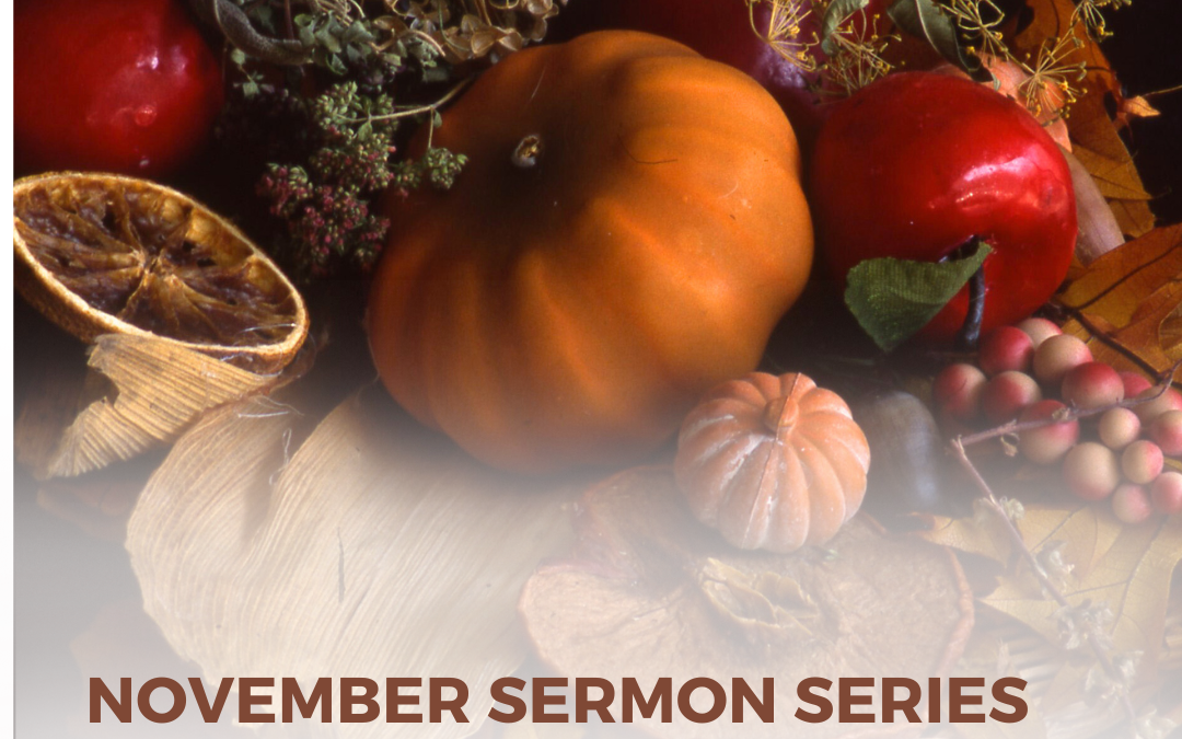 November Sermon Series